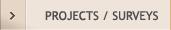 NIJC projects and surveys